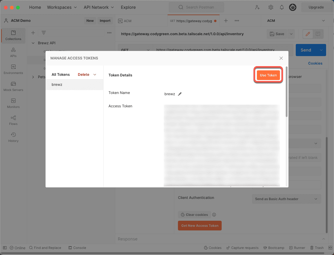 Postman Use Token
